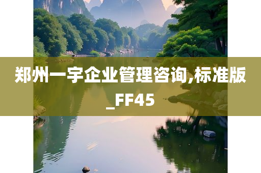 郑州一宇企业管理咨询,标准版_FF45