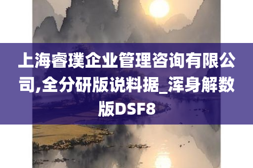 上海睿璞企业管理咨询有限公司,全分研版说料据_浑身解数版DSF8