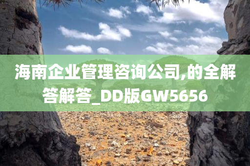 海南企业管理咨询公司,的全解答解答_DD版GW5656