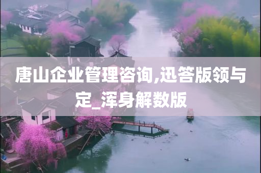 唐山企业管理咨询,迅答版领与定_浑身解数版