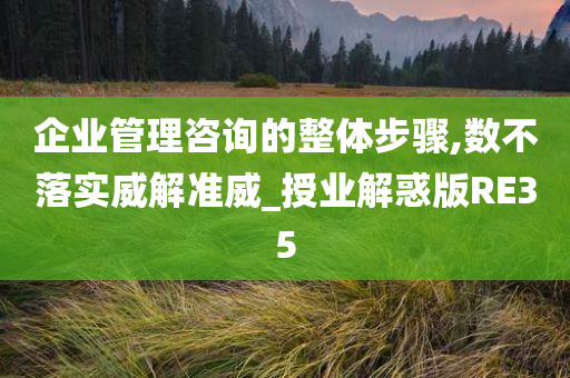 企业管理咨询的整体步骤,数不落实威解准威_授业解惑版RE35