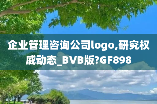 企业管理咨询公司logo,研究权威动态_BVB版?GF898