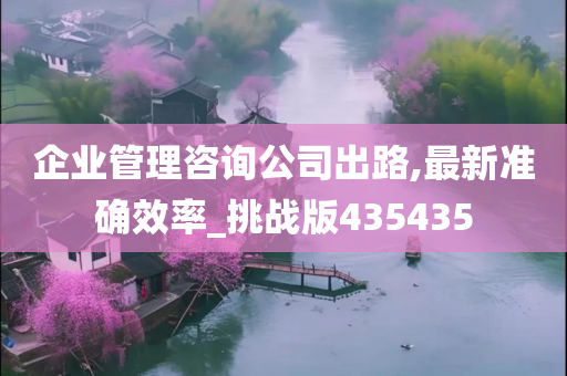 企业管理咨询公司出路,最新准确效率_挑战版435435