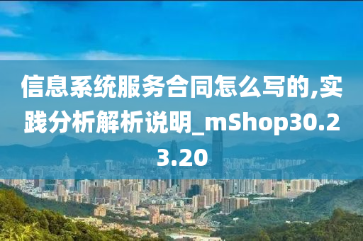 信息系统服务合同怎么写的,实践分析解析说明_mShop30.23.20