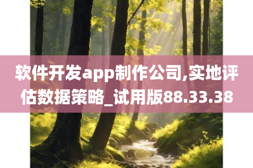 软件开发app制作公司,实地评估数据策略_试用版88.33.38