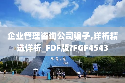 企业管理咨询公司骗子,详析精选详析_FDF版?FGF4543