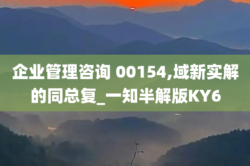 企业管理咨询 00154,域新实解的同总复_一知半解版KY6