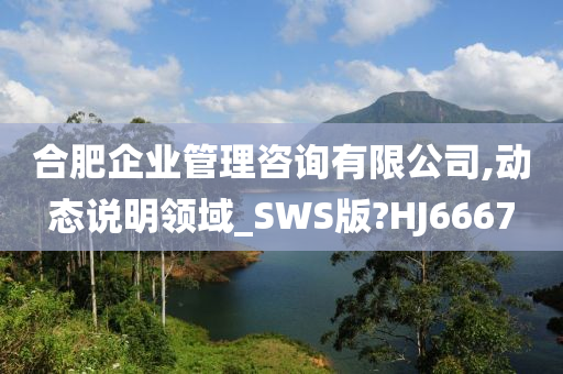 合肥企业管理咨询有限公司,动态说明领域_SWS版?HJ6667