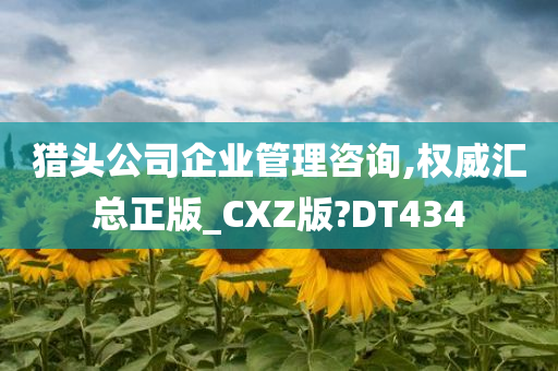 猎头公司企业管理咨询,权威汇总正版_CXZ版?DT434