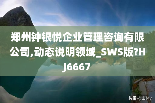 郑州钟银悦企业管理咨询有限公司,动态说明领域_SWS版?HJ6667