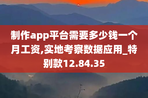 制作app平台需要多少钱一个月工资,实地考察数据应用_特别款12.84.35