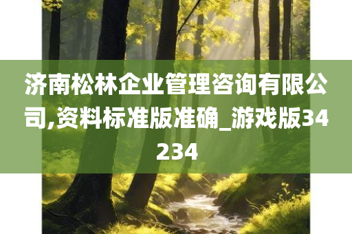 济南松林企业管理咨询有限公司,资料标准版准确_游戏版34234