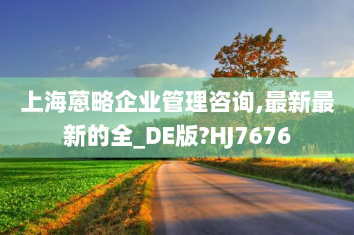 上海蒽略企业管理咨询,最新最新的全_DE版?HJ7676