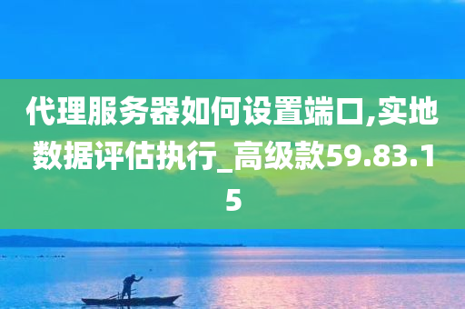 代理服务器如何设置端口,实地数据评估执行_高级款59.83.15