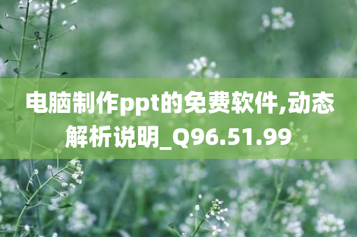 电脑制作ppt的免费软件,动态解析说明_Q96.51.99