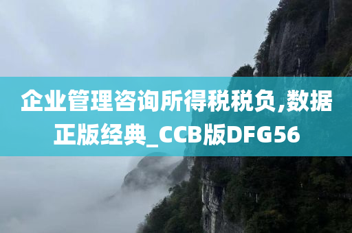 企业管理咨询所得税税负,数据正版经典_CCB版DFG56