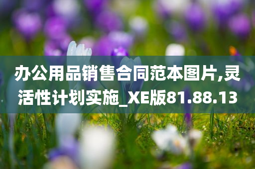 办公用品销售合同范本图片,灵活性计划实施_XE版81.88.13