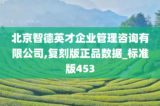 北京智德英才企业管理咨询有限公司,复刻版正品数据_标准版453