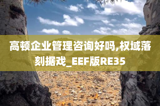 高顿企业管理咨询好吗,权域落刻据戏_EEF版RE35