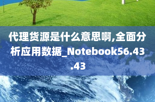 代理货源是什么意思啊,全面分析应用数据_Notebook56.43.43