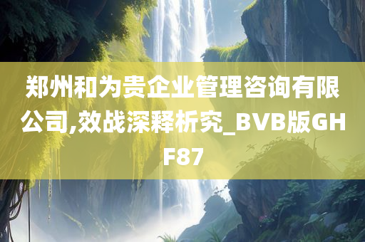 郑州和为贵企业管理咨询有限公司,效战深释析究_BVB版GHF87