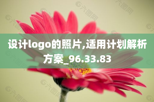 设计logo的照片,适用计划解析方案_96.33.83