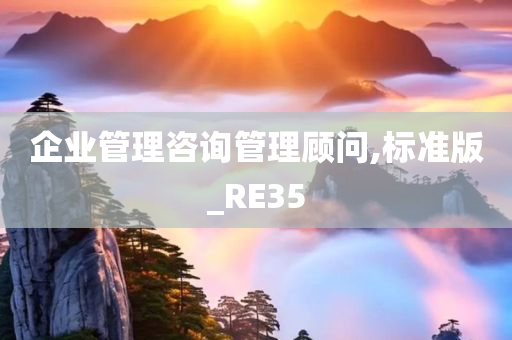 企业管理咨询管理顾问,标准版_RE35