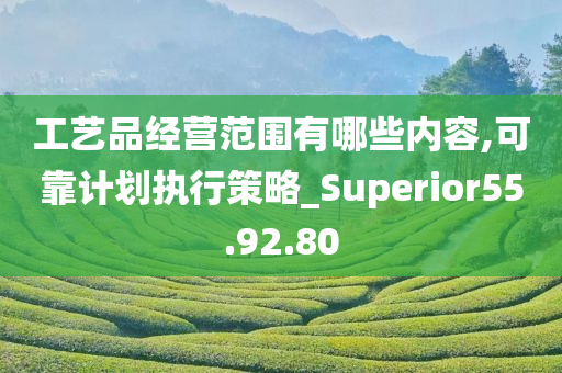 工艺品经营范围有哪些内容,可靠计划执行策略_Superior55.92.80