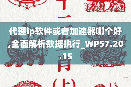 代理ip软件或者加速器哪个好,全面解析数据执行_WP57.20.15