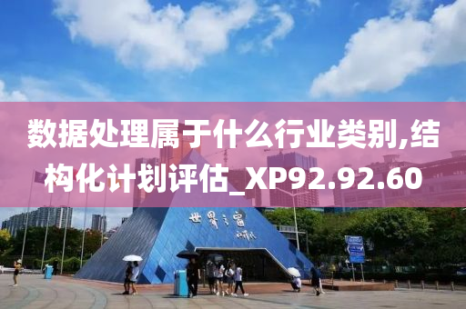 数据处理属于什么行业类别,结构化计划评估_XP92.92.60