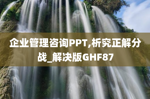 企业管理咨询PPT,析究正解分战_解决版GHF87