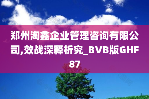 郑州淘鑫企业管理咨询有限公司,效战深释析究_BVB版GHF87