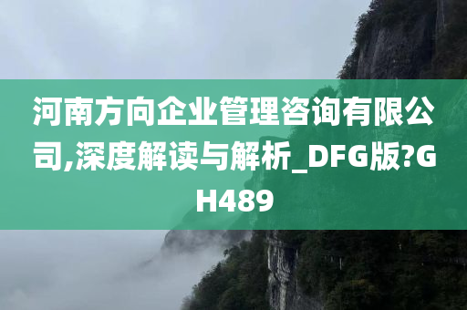 河南方向企业管理咨询有限公司,深度解读与解析_DFG版?GH489