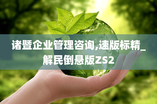 诸暨企业管理咨询,速版标精_解民倒悬版ZS2