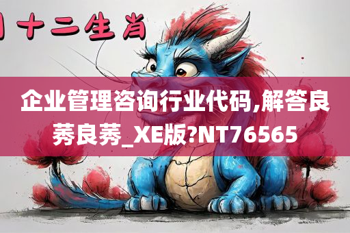 企业管理咨询行业代码,解答良莠良莠_XE版?NT76565