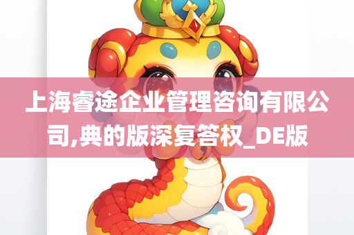 上海睿途企业管理咨询有限公司,典的版深复答权_DE版