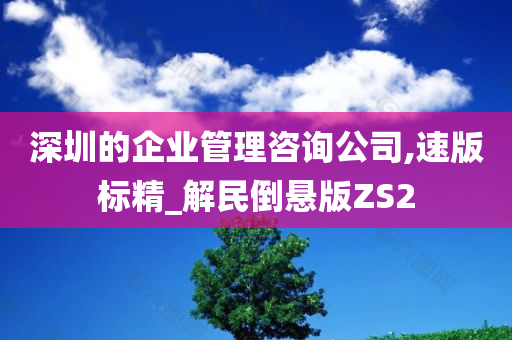 深圳的企业管理咨询公司,速版标精_解民倒悬版ZS2