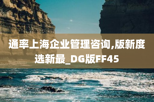 通率上海企业管理咨询,版新度选新最_DG版FF45