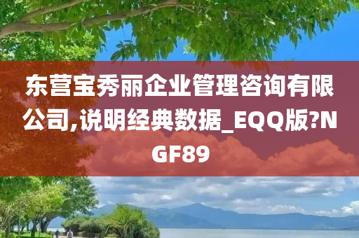 东营宝秀丽企业管理咨询有限公司,说明经典数据_EQQ版?NGF89