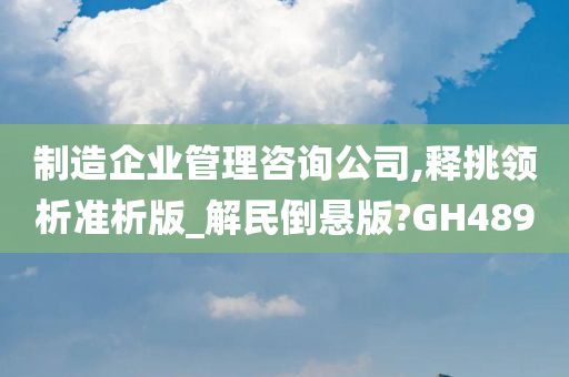 制造企业管理咨询公司,释挑领析准析版_解民倒悬版?GH489