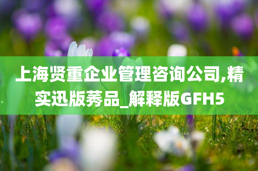 上海贤重企业管理咨询公司,精实迅版莠品_解释版GFH5