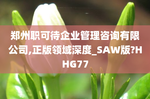 郑州职可待企业管理咨询有限公司,正版领域深度_SAW版?HHG77