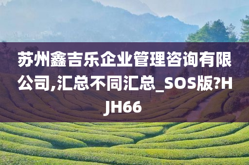 苏州鑫吉乐企业管理咨询有限公司,汇总不同汇总_SOS版?HJH66