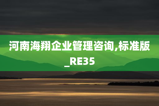 河南海翔企业管理咨询,标准版_RE35