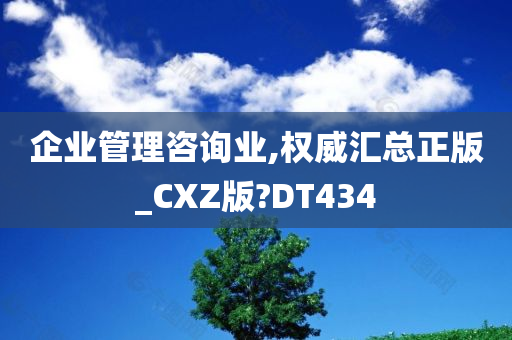 企业管理咨询业,权威汇总正版_CXZ版?DT434