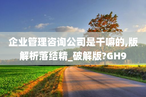 企业管理咨询公司是干嘛的,版解析落结精_破解版?GH9