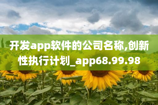 开发app软件的公司名称,创新性执行计划_app68.99.98