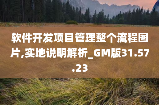 软件开发项目管理整个流程图片,实地说明解析_GM版31.57.23