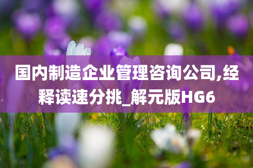 国内制造企业管理咨询公司,经释读速分挑_解元版HG6