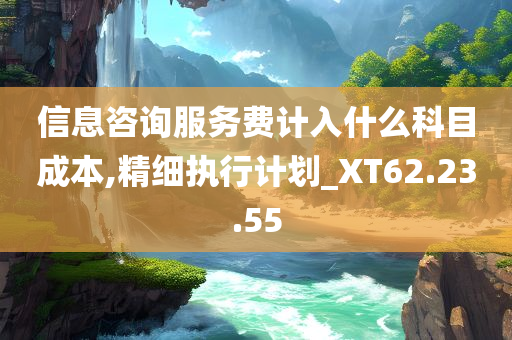 信息咨询服务费计入什么科目成本,精细执行计划_XT62.23.55